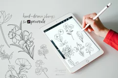Procreate Stamp Brushes 12 birth month flowers botanical 002 Product Image 5