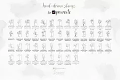 Procreate Stamp Brushes 12 birth month flowers botanical 002 Product Image 3