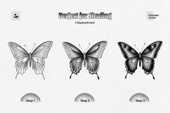 Procreate Stipple Brushes Product Image 4