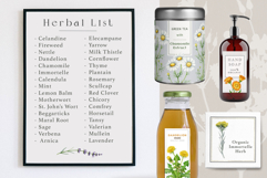 Apothecary Herbs Illustration Set Product Image 10