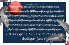 Project Humble Modern Handbrush Font Product Image 19