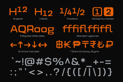 Prolinea Expanded Geometric Sans Serif Family Product Image 10