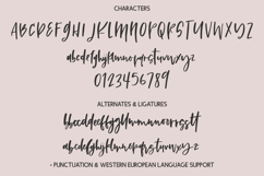 Promise Script Product Image 10