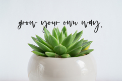 Promise Script Product Image 5