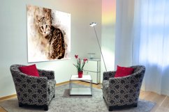 Printable CUTE CAT PORTRAITS 7 different formats Pack 06 Product Image 2