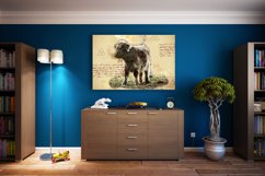 ANIMAL Printable Illustrations Pack # 14 graphics JPG Product Image 2