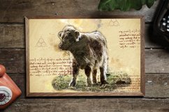 ANIMAL Printable Illustrations Pack # 14 graphics JPG Product Image 4
