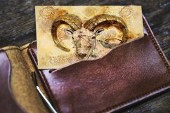 ANIMAL Printable Illustrations Pack # 13 graphics JPG Product Image 5