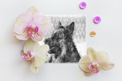 Printable Dog Graphics Pack #16 JPG 300 dpi Illustration Product Image 4