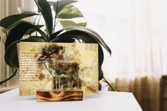 ANIMAL Printable Illustrations Pack # 17 graphics JPG Product Image 3