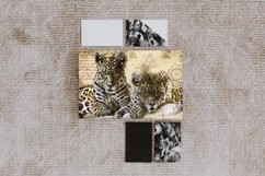 ANIMAL Printable Illustrations Pack # 22 graphics JPG Product Image 4