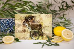 ANIMAL Printable Illustrations Pack # 17 graphics JPG Product Image 4