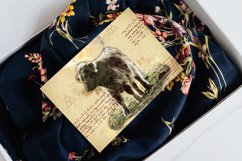 ANIMAL Printable Illustrations Pack # 14 graphics JPG Product Image 6