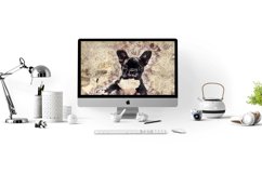 Printable Dog Graphics Pack #03 JPG 300 dpi Illustration Product Image 6