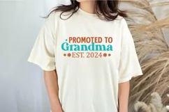 Promoted to grandma est. 2024 SVG , Blessed Grandparents SVG Product Image 2