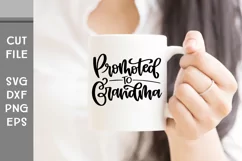 Promoted to Grandma, New Grand baby Hand Lettered SVG Product Image 3
