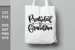 Promoted to Grandma, New Grand baby Hand Lettered SVG Product Image 4