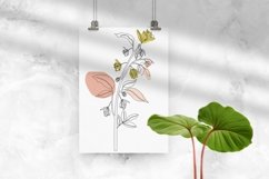 Ylang-ylang Flower Product Image 1