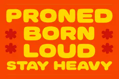 Proned Playful Bold Expanded Display Product Image 2
