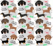 Dachshund Tumbler Wrap, Sublimation, Dog Tumbler PNG, Wrap Product Image 2
