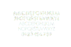 Proposal Posies Color Font Product Image 2