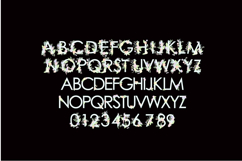 Proposal Posies Color Font Product Image 3