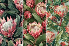 Protea Flowers Digital Paper Bundle Product Image 3
