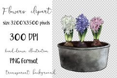 Spring flower clipart. Spring flowers Sublimation PNG Product Image 2