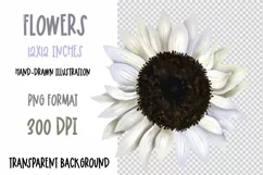 White sunflower sublimation design PNG|Flower clipar Product Image 2