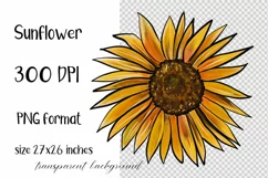 Sunflower Sublimation design. Flower clipart. Floral PNG Product Image 3