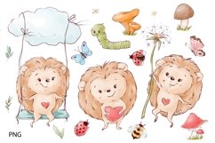 Watercolor Clipart Cute Hedgehogs Product Image 2