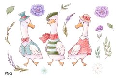 Watercolor Clipart Lovely Gees Product Image 2