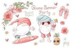 Gnome Summer Party elements set Product Image 1