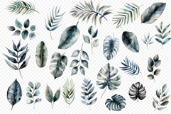 Tropical leaves clipart Product Image 2