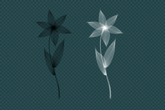 Line Art Flowers Product Image 6