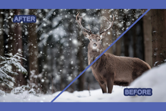 Snow Overlay With Transparent Background for Projects Product Image 7