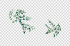 Eucalyptus Leaves clipart Product Image 8
