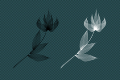 Line Art Flowers Product Image 7