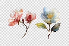 Watercolor Flowers Product Image 3