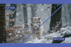 Snow Overlay With Transparent Background for Projects Product Image 8