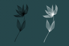Line Art Flowers Product Image 8