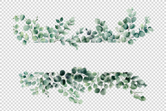 Eucalyptus Leaves clipart Product Image 2
