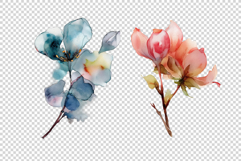 Watercolor Flowers Product Image 4