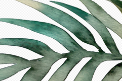 Tropical leaves clipart Product Image 4