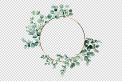 Eucalyptus Leaves clipart Product Image 3