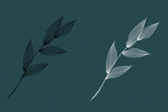 Line Art Flowers Product Image 3