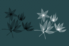 Line Art Flowers Product Image 4