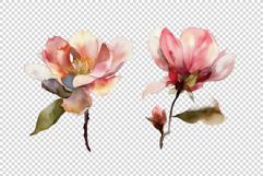 Watercolor Flowers Product Image 7