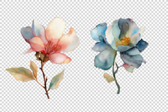 Watercolor Flowers Product Image 8
