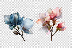 Watercolor Flowers Product Image 9